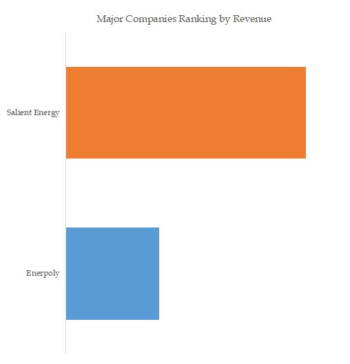 Zinc Ion Batteries